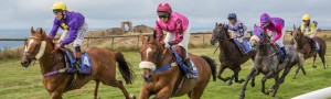 Horse Racing with Les Landes in background